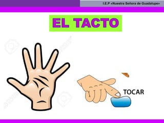 I.E.P «Nuestra Señora de Guadalupe»I.E.P «Nuestra Señora de Guadalupe»
 