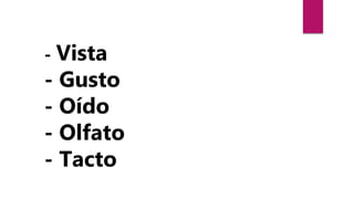 - Vista
- Gusto
- Oído
- Olfato
- Tacto
 