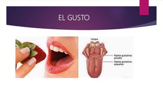 EL GUSTO
 