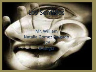 Los Sentidos	 Mr. William  Natalia Gómez Delgado 12ª Biologia Los Sentidos Mr. William Natalia Gómez Delgado 12ª Biología 
