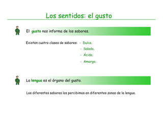 Los sentidos: el gusto

El gusto nos informa de los sabores.


Existen cuatro clases de sabores: - Dulce.
                                  - Salado.
                                   - Ácido.

                                   - Amargo.




La lengua es el órgano del gusto.


Los diferentes sabores los percibimos en diferentes zonas de la lengua.
 