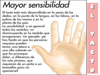 EE
LL
TT
AA
CC
TT
OO
 