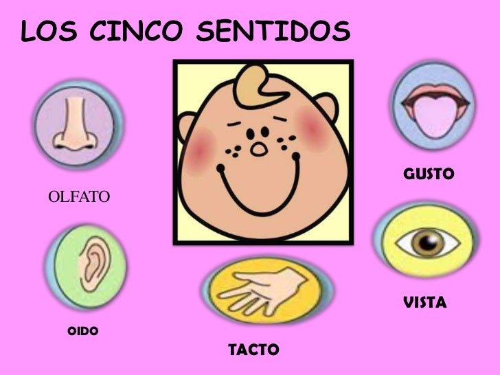 Resultado de imagen para LOS SENTIDOS DIBUJOS