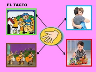 EL TACTO
 
