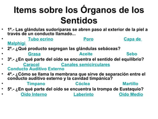 Items sobre los Órganos de los
Sentidos
• 1ª.- Las glándulas sudoríparas se abren paso al exterior de la piel a
través de un conducto llamado...
• Tubo ecrino Poro Capa de
Malphigi
• 2ª.- ¿Qué producto segregan las glándulas sebáceas?
• Grasa Aceite Sebo
• 3ª.- ¿En qué parte del oído se encuentra el sentido del equilibrio?
• Caracol Canales semicirculares
Conducto Auditivo Externo
• 4ª.- ¿Cómo se llama la membrana que sirve de separación entre el
conducto auditivo externo y la cavidad timpánica?
• Tímpano Cóclea Martillo
• 5ª.- ¿En qué parte del oído se encuentra la trompa de Eustaquio?
• Oído Interno Laberinto Oído Medio
 