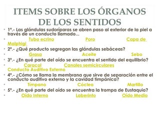 ITEMS SOBRE LOS ÓRGANOS
DE LOS SENTIDOS
• 1ª.- Las glándulas sudoríparas se abren paso al exterior de la piel a
través de un conducto llamado...
•                  Tubo ecrino                         Poro                         Capa de
Malphigi
• 2ª.- ¿Qué producto segregan las glándulas sebáceas?
•                  Grasa                                Aceite                            Sebo
• 3ª.- ¿En qué parte del oído se encuentra el sentido del equilibrio?
•              Caracol                  Canales semicirculares          
Conducto Auditivo Externo
• 4ª.- ¿Cómo se llama la membrana que sirve de separación entre el
conducto auditivo externo y la cavidad timpánica?
•                 Tímpano                         Cóclea                           Martillo
• 5ª.- ¿En qué parte del oído se encuentra la trompa de Eustaquio?
•            Oído Interno                      Laberinto                     Oído Medio
 