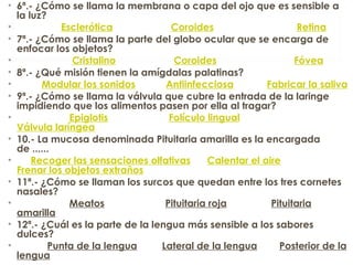 • 6ª.- ¿Cómo se llama la membrana o capa del ojo que es sensible a
la luz?
•                 Esclerótica                     Coroides                              Retina
• 7ª.- ¿Cómo se llama la parte del globo ocular que se encarga de
enfocar los objetos?
•                     Cristalino                     Coroides                            Fóvea
• 8ª.- ¿Qué misión tienen la amígdalas palatinas?
•          Modular los sonidos           Antiinfecciosa            Fabricar la saliva
• 9ª.- ¿Cómo se llama la válvula que cubre la entrada de la laringe
impidiendo que los alimentos pasen por ella al tragar?
•                    Epiglotis                      Folículo lingual               
Válvula laríngea
• 10.- La mucosa denominada Pituitaria amarilla es la encargada
de ......
•      Recoger las sensaciones olfativas      Calentar el aire      
Frenar los objetos extraños
• 11ª.- ¿Cómo se llaman los surcos que quedan entre los tres cornetes
nasales?
•                    Meatos                      Pituitaria roja                Pituitaria
amarilla
• 12ª.- ¿Cuál es la parte de la lengua más sensible a los sabores
dulces?
•            Punta de la lengua         Lateral de la lengua        Posterior de la
lengua
 