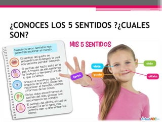 ¿CONOCES LOS 5 SENTIDOS ?¿CUALES
SON?
 