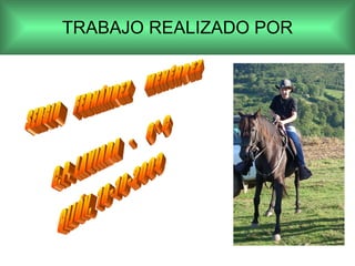 TRABAJO REALIZADO POR SERGIO FERNÁNDEZ MENÉNDEZ C.P. LAVIADA - 6º C GIJÓN, 18-10-2009