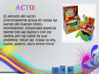 Tacto:El sentido del tactoprácticamenteactua en todaslaspartes del cuerpocomo, movimientoscorporales especial mente con lasmanos y con los dedos; portalrazonesquepodemostocarlascosasya sea, suave, aspero, duro entre otros`