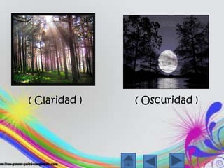 ( Claridad )  ( Oscuridad )
