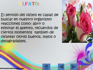 Olfato:El sentido del olfatoescapaz de buscar en nuestroorganismoreaccionescomo: abrir oeliminar el apetito, recuerdos de ciertosmomentostambien de olfatearoloresbuenos, malos o desagradables.