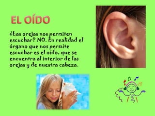 ¿Las orejas nos permiten
escuchar? NO. En realidad el
órgano que nos permite
escuchar es el oído, que se
encuentra al interior de las
orejas y de nuestra cabeza.
 