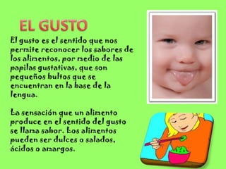 El gusto es el sentido que nos
permite reconocer los sabores de
los alimentos, por medio de las
papilas gustativas, que son
pequeños bultos que se
encuentran en la base de la
lengua.

La sensación que un alimento
produce en el sentido del gusto
se llama sabor. Los alimentos
pueden ser dulces o salados,
ácidos o amargos.
 