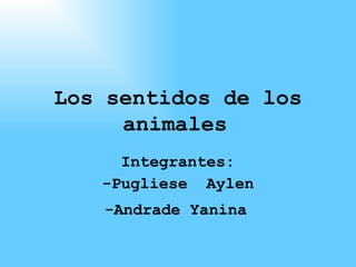 Los sentidos de los animales   Integrantes: -Pugliese  Aylen -Andrade Yanina   