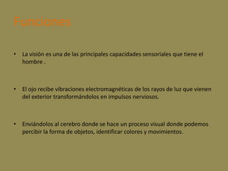 Funciones La visión es una de las principales capacidades sensoriales que tiene el hombre .El ojo recibe vibraciones electromagnéticas de los rayos de luz que vienen del exterior transformándolos en impulsos nerviosos.Enviándolos al cerebro donde se hace un proceso visual donde podemos percibir la forma de objetos, identificar colores y movimientos. 