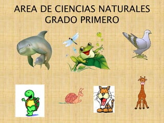 AREA DE CIENCIAS NATURALES
      GRADO PRIMERO
 