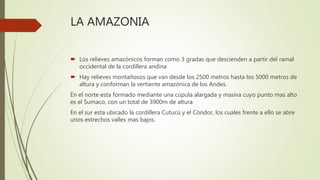 LA AMAZONIA
 Los relieves amazónicos forman como 3 gradas que descienden a partir del ramal
occidental de la cordillera andina
 Hay relieves montañosos que van desde los 2500 metros hasta los 5000 metros de
altura y conforman la vertiente amazónica de los Andes.
En el norte esta formado mediante una cúpula alargada y masiva cuyo punto mas alto
es el Sumaco, con un total de 3900m de altura
En el sur esta ubicado la cordillera Cutucú y el Cóndor, los cuales frente a ello se abre
unos estrechos valles mas bajos.
 