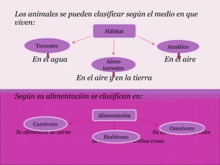Los animales se pueden clasificar según el medio en que viven: En el agua  En el aire En el aire y en la tierra  Según su alimentación se clasifican en: Se alimentan de carne  Su dieta es de vegetales Se alimentan de ambas cosas Hábitat Terrestre Aéreo terrestre Acuático Alimentación Carnívoro Herbívoro Omnívoro 