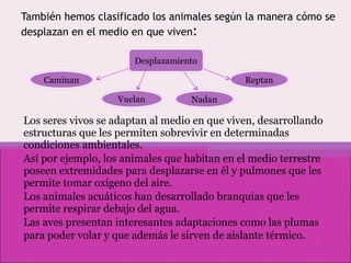 También hemos clasificado los animales según la manera cómo se desplazan en el medio en que viven : H Los seres vivos se adaptan al medio en que viven, desarrollando estructuras que les permiten sobrevivir en determinadas  condiciones ambientales. Así por ejemplo, los animales que habitan en el medio terrestre poseen extremidades para desplazarse en él y pulmones que les permite tomar oxígeno del aire. Los animales acuáticos han desarrollado branquias que les permite respirar debajo del agua. Las aves presentan interesantes adaptaciones como las plumas para poder volar y que además le sirven de aislante térmico . Desplazamiento Caminan Vuelan Nadan Reptan 