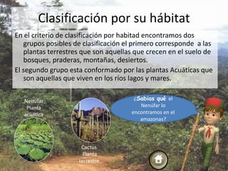 Clasificación por su hábitat
En el criterio de clasificación por habitad encontramos dos
   grupos posibles de clasificaci...