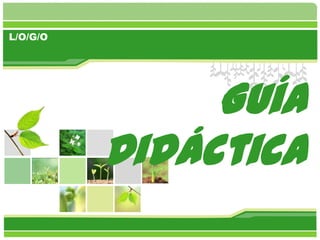 Guía Didáctica