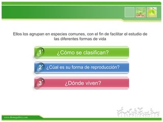 Ellos los agrupan en especies comunes, con el fin de facilitar el estudio de las diferentes formas de vida.1¿Cómo se clasifican?2¿Cúal es su forma de reproducción?¿Dónde viven?3