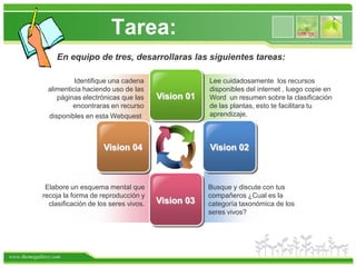 En equipo de tres, desarrollaras las siguientes tareas:Identifique una cadena alimenticia haciendo uso de las páginas electrónicas que las encontraras en recurso disponibles en esta Webquest.Lee cuidadosamente  los recursos disponibles del internet , luego copie en Word  un resumen sobre la clasificación de las plantas, esto te facilitara tu aprendizaje.Vision 01Vision 02Vision 04Elabore un esquema mental que recoja la forma de reproducción y clasificación de los seres vivos.Busque y discute con tus compañeros ¿Cual es la categoría taxonómica de los seres vivos?Vision 03Tarea: