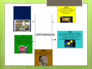 VERTEBRADOS 
