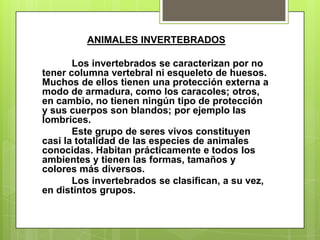 ANIMALES INVERTEBRADOS	Los invertebrados se caracterizan por no tener columna vertebral ni esqueleto de huesos. Muchos de ellos tienen una protección externa a modo de armadura, como los caracoles; otros, en cambio, no tienen ningún tipo de protección y sus cuerpos son blandos; por ejemplo las lombrices.Este grupo de seres vivos constituyen casi la totalidad de las especies de animales conocidas. Habitan prácticamente e todos los ambientes y tienen las formas, tamaños y colores más diversos.  	Los invertebrados se clasifican, a su vez, en distintos grupos.