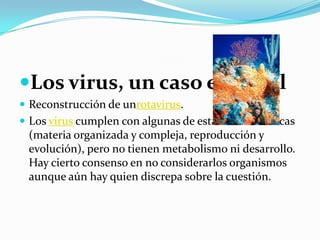Los virus, un caso especialReconstrucción de unrotavirus.Los virus cumplen con algunas de estas características (materia organizada y compleja, reproducción y evolución), pero no tienen metabolismo ni desarrollo. Hay cierto consenso en no considerarlos organismos aunque aún hay quien discrepa sobre la cuestión. 
