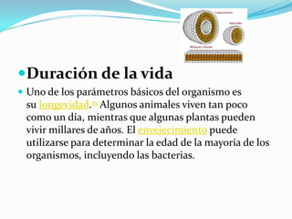 Duración de la vidaUno de los parámetros básicos del organismo es su longevidad.15 Algunos animales viven tan poco como un día, mientras que algunas plantas pueden vivir millares de años. El envejecimiento puede utilizarse para determinar la edad de la mayoría de los organismos, incluyendo las bacterias.