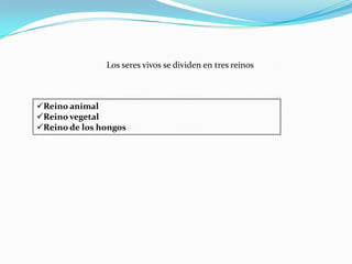Los seres vivos se dividen en tres reinos Reino animal