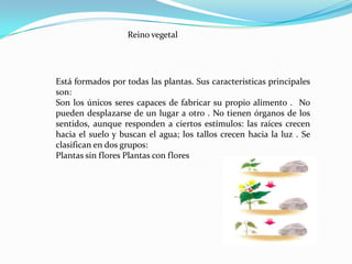 Reino de los hongosReino animalvertebradoEstá formado por todos los animales. Sus características principales  son:Se alimentan de plantas o de otros animales Se relacionan con el exterior a través de los movimientos (andan, vuelan o nadan) y a través de los órganos de los sentidosLos animales pueden clasificarse en dos grupos:Animales vertebrados Animales invertebradosinvertebrado