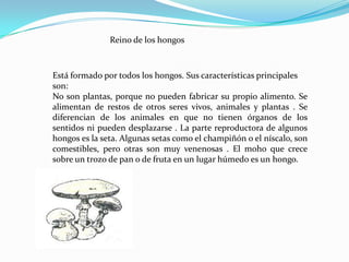 Reino vegetalEstá formados por todas las plantas. Sus características principales son:Son los únicos seres capaces de fabricar su propio alimento .  No pueden desplazarse de un lugar a otro . No tienen órganos de los sentidos, aunque responden a ciertos estímulos: las raíces crecen hacia el suelo y buscan el agua; los tallos crecen hacia la luz . Se clasifican en dos grupos:Plantas sin flores Plantas con flores