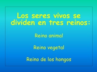 Los seres vivos se
dividen en tres reinos:
       Reino animal

      Reino vegetal

    Reino de los hongos
 