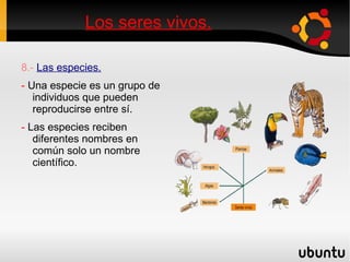 Los seres vivos. 4.-  La célula animal y vegetal. -  Hay dos tipos de células eucariotas.  -  Célula animal:   No tiene pared celular, hay formas diversas, no tienen cloroplasto y tiene vesícula. -  Célula vegetal:   Tiene una pared celular, normalmente tiene forma poliédrica, posee  cloroplasto y posee 1 o 2 vacuolas. 