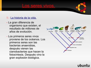 Los seres vivos. 5.-  Los organismos unicelular y los pluricelulares. -  Los organismo se clasifican según el numero de células en: Unicelular:   Están formada por una sola célula. 