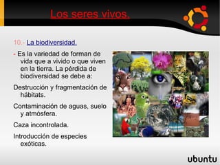 Los seres vivos. 5.2.  Niveles de organización: -  Los organismos pluricelulares están organizados por una función que tiene diferentes niveles: Tejidos:   Esta formado por varias células. 