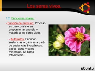 Están constituidos por materia orgánica. 