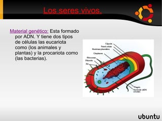 Los seres vivos. -  Función de relación:   Son todos los procesos que los seres vivos se relacionan entre sí y donde viven los seres vivos.  -  Función de reproducción:   Los seres vivos  son capaces de reproducirse.  -  Reproducción asexual:   Un solo ser vivo se reproduce el mismo.  -  Reproducción sexual:   Interviene dos individuos para formar un descendiente.  