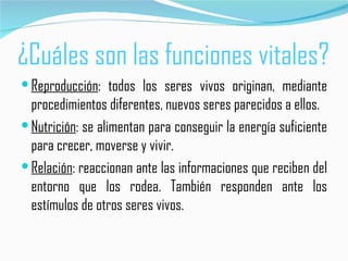 ¿Cuáles son las funciones vitales?
 Reproducción: todos los seres vivos originan, mediante
  procedimientos diferentes, nuevos seres parecidos a ellos.
 Nutrición: se alimentan para conseguir la energía suficiente
  para crecer, moverse y vivir.
 Relación: reaccionan ante las informaciones que reciben del
  entorno que los rodea. También responden ante los
  estímulos de otros seres vivos.
 