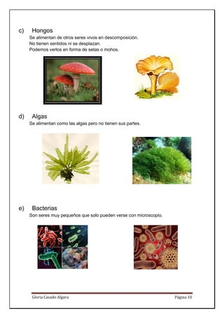 c)
c     Hon
        ngos
     Se alimentan de otros seres vivos en descomp
                    e                           posición.
     No tie
          enen sentid ni se d
                    dos      desplazan.
     Podem verlos en forma de setas o mohos.
          mos       s




d)
d     Algas
     Se alimentan co
                   omo las alg pero no tienen su partes.
                             gas               us




e)
e     Bac
        cterias
         seres muy pequeños que solo p
     Son s                           pueden verse con microscopio.
                                                       i         .




      Glori
          ia Casado Al
                     lgara                                           Página 10 
       
 