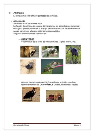 a) Animales
   El reino animal está formado por todos los animales.

 • Alimentación
   Se alimentan de otros seres vivos.
   La función de nutrición se encarga de transformar los alimentos que tomamos y
   el oxigeno que respiramos en la energía y los nutrientes que necesitan nuestro
   cuerpo para crecer y llevar a cabo las funciones vitales.
   Según su alimentación se clasifican en:

         ⇒ CARNIVOROS
           Se alimentan de la carne de otros animales. (Tigres, leones, etc.)




             Algunos carnívoros aprovechan los restos de animales muertos y
             reciben el nombre de CARROÑEROS (buitres, los leones a veces)




   Gloria Casado Algara                                                   Página 4 
    
 