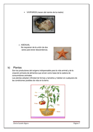 VIVÍPAR
                             ROS (nace del vient de la m
                                     en        tre     madre)




            ⇒ ASEXXUAL
              No re
                  equieren de la unión de dos
                            e
              seres para tener descenddencia.




b)
b     Pla
        antas
     Son lo product
          os                   xígeno indispensable para la vida animal y de la
                    tores del ox                    e                  l
     creación primaria de alimeentos que s
                                         sirven com base de la cadena de
                                                   mo       e          a
     consuumidores a
                   animales
     Las plantas ado
                   optan infinid de formas y tam
                               dad                 maños y habitan en cu
                                                                       ualquiera de
                                                                                 d
     las co
          ondiciones posibles d vida en la tierra.
                               de




      Glori
          ia Casado Al
                     lgara                                                    Pág
                                                                                gina 7 
       
 