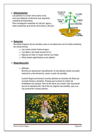 • Alim
     mentació
            ón
Las plantas no ccomen otro seres vi
                            os        ivos,
sino q elabora el alime
     que        an         ento que re
                                     equieren,
mediaante la foto
                osíntesis.
Para cconseguirlo necesita luz del s agua y
                           an        sol,
otras sustancias que toma de la tie
                s          an       erra y del aire.
                                               a




• Rela
     ación
 No tienen órgaanos de los sentidos, pero sí se relaciona con el m
                           s         ,         e        an       medio ambi
                                                                          iente
 de v
    varias formas:
       ⇒ Las r raíces crec hacia e agua.
                          cen       el
       ⇒ Los t tallos y las hojas buscan la luz.
       ⇒ Algun al nota un toque cierran su hojas.
               nas         ar       e           us
       ⇒ Otras trepan ag
               s           garrándose a los obje
                                     e         etos.

• Rep
    producción

       ⇒ SEXU
            UAL
         Much se repr
            has        roducen se
                                exualmente, en las pplantas exis una parte
                                                               ste
         masc
            culina y otr femenina, nacen a partir de s
                       ra                            semillas.

           Cuan llega la primaver muchas plantas se recubren de flores de
               ndo        a        ra                    e                 d
           much formas y tamaño Parece que tuvier la misió de
               has        s        os.                   ran      ón
           embeellecer los campos. P
                                   Pero la flor tiene una misión má importan
                                              r                   ás       nte
           que e la reproducción. D la flor se originan las semilla que a su
               es                  De          e                  as,     s
           vez p
               producirán nuevas plantas.




 Glori
     ia Casado Al
                lgara                                                   Pág
                                                                          gina 8 
  
 