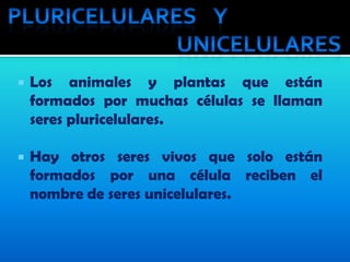    Los animales y plantas que están
    formados por muchas células se llaman
    seres pluricelulares.

   Hay otros seres vivos que solo están
    formados por una célula reciben el
    nombre de seres unicelulares.
 