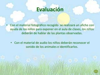 Evaluación
• Con el material fotográfico recogido se realizará un afiche con
ayuda de los niños para exponer en el aula de clases, los niños
deberán de hablar de las plantas observadas.
• Con el material de audio los niños deberán reconocer el
sonido de los animales e identificarlos.
 