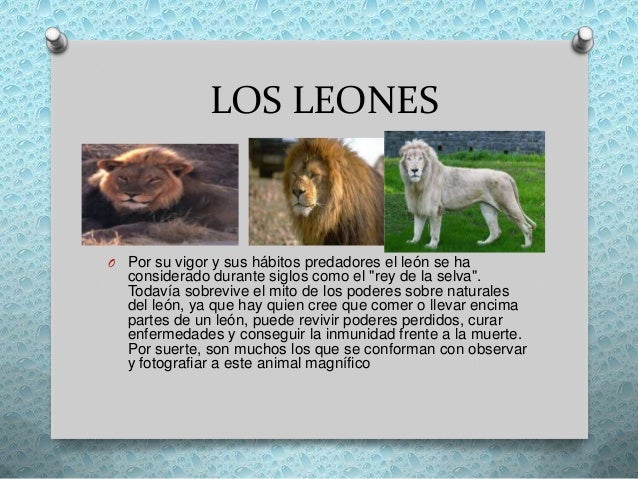 Los animales