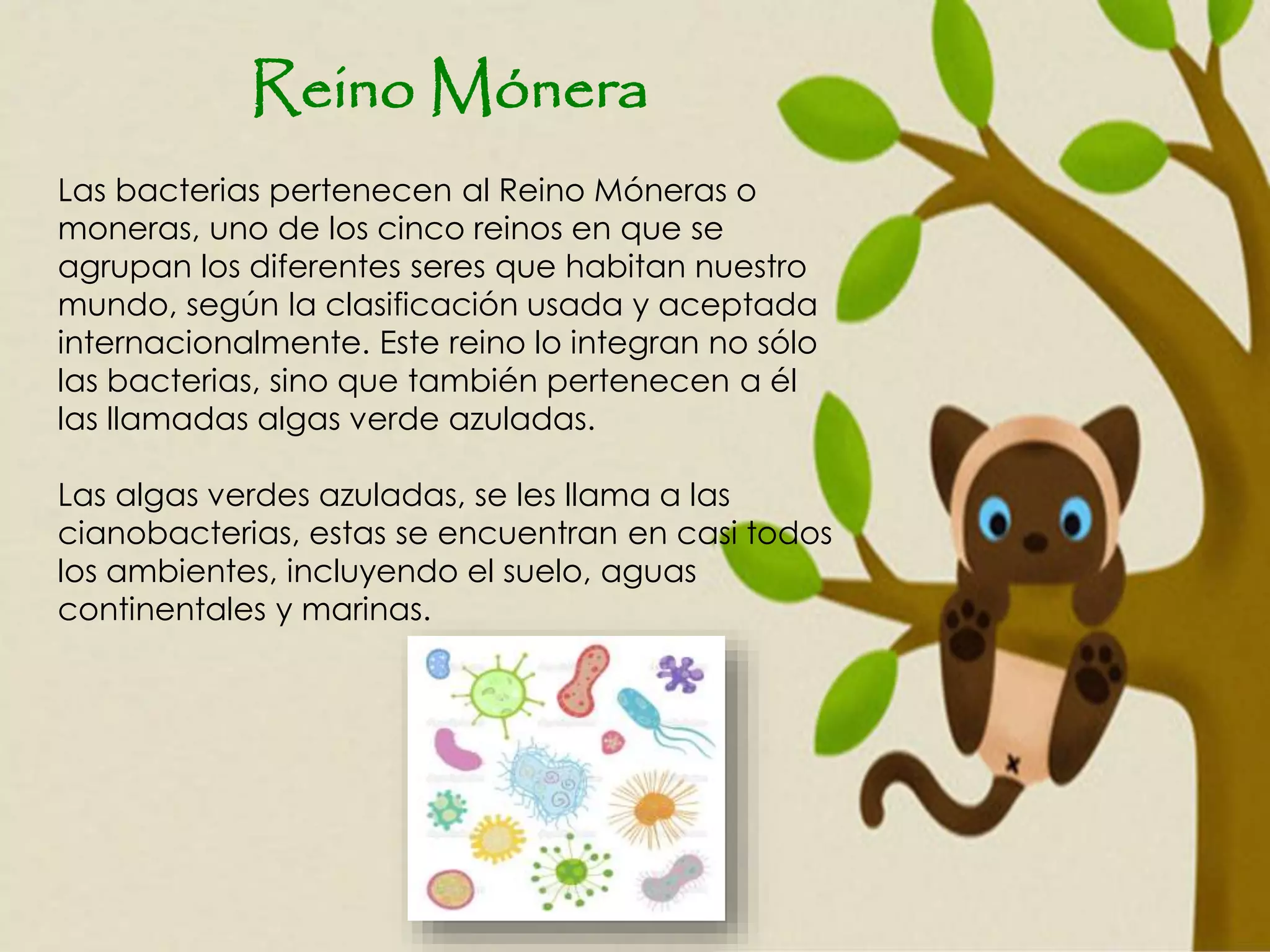 Los seres vivos. | PPTX